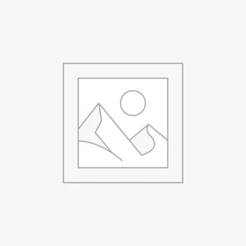 Bambu Lab H2D